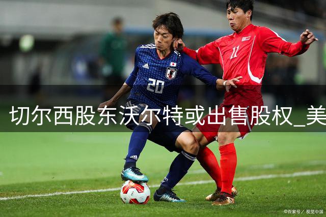 切尔西股东沃尔特或出售股权 美司法调查成导火索