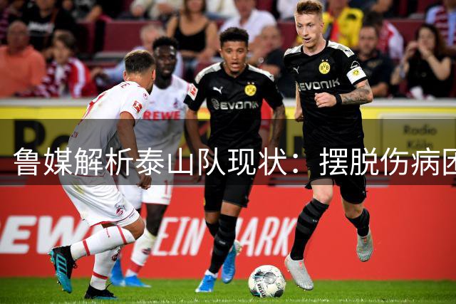 鲁媒解析泰山队现状：摆脱伤病困扰 战海港有望晋级