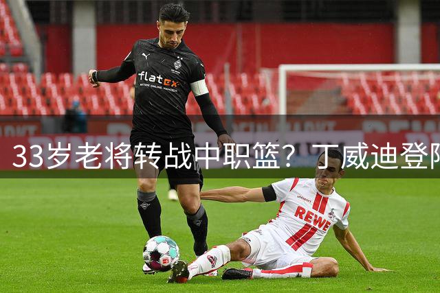 33岁老将转战中职篮？丁威迪登陆CBA前景解读